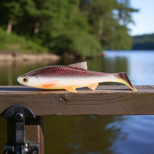 Paddle Tail Swimbait for Pike & Bass