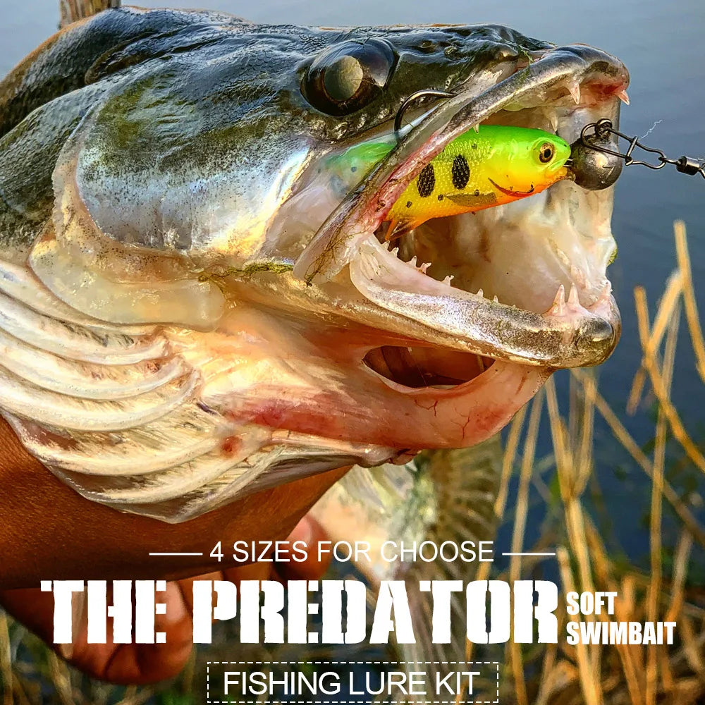 Predator